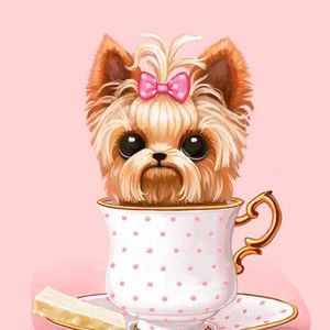 Meet your Posher, Alyssa